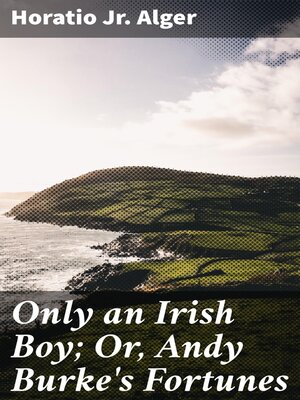 cover image of Only an Irish Boy; Or, Andy Burke's Fortunes